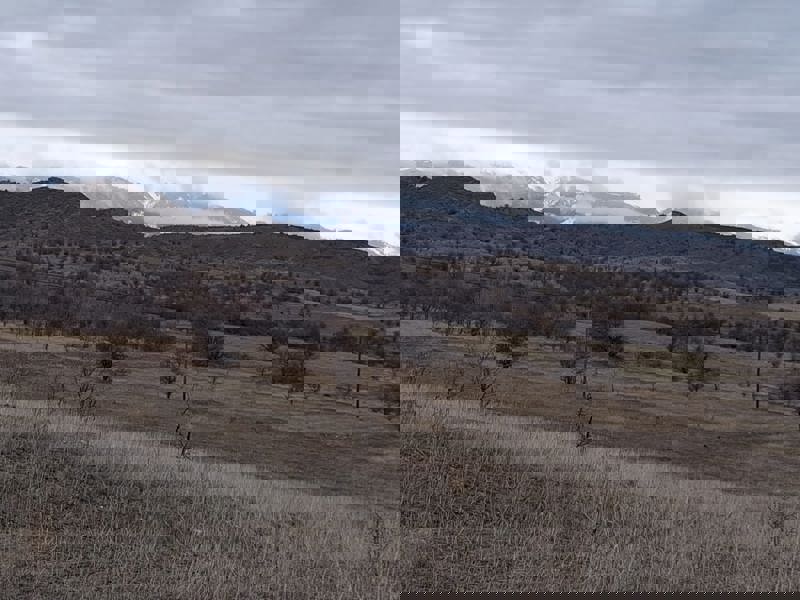 ÇANKIRI ILGAZ'DA 6.871 M2 SATILIK TARLA